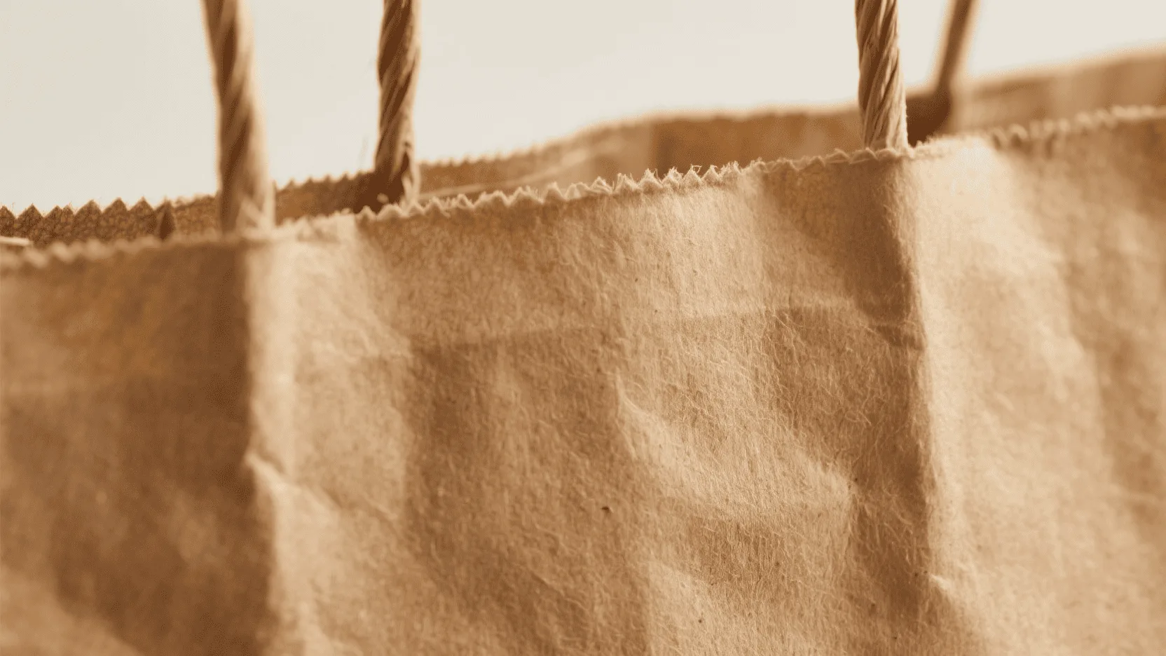 A close-up shot of the textured surface of a brown kraft paper bag, emphasizing its natural and strong fibers.