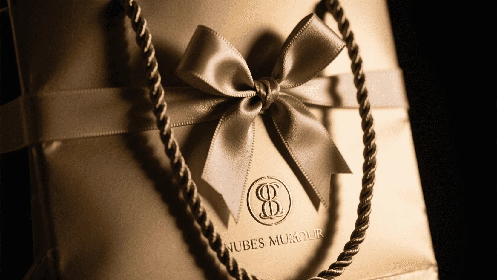 A close-up of a luxury gift bag with embossed logo and thick ribbon handles.