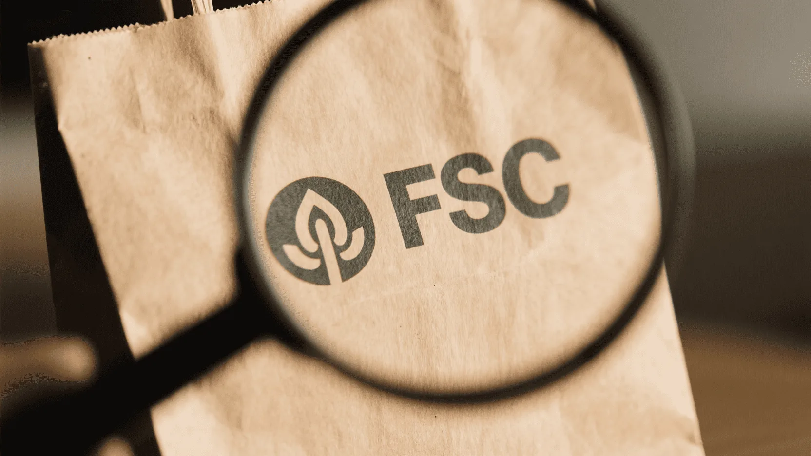 A close-up of a magnifying glass hovering over the FSC logo printed on a kraft paper bag.