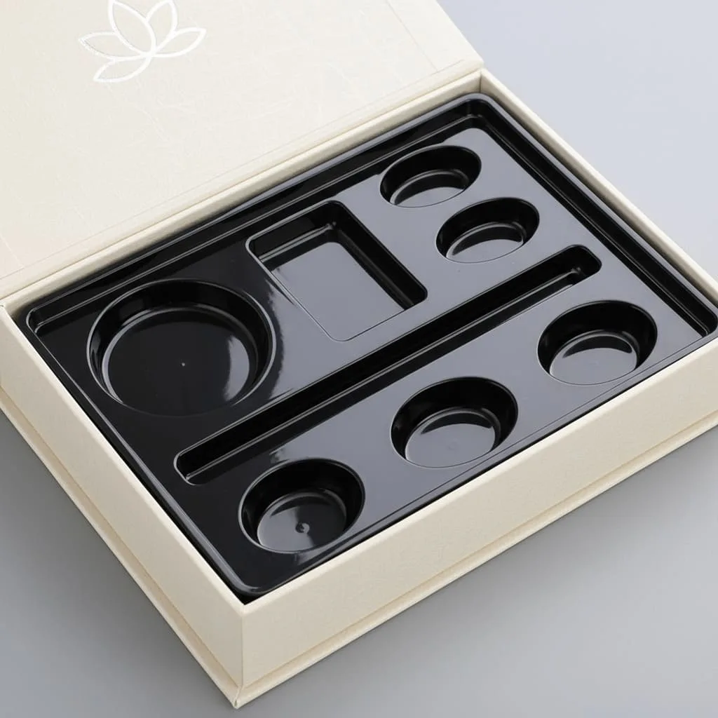 Clear blister insert cosmetic packaging with transparent plastic compartments for product visibility