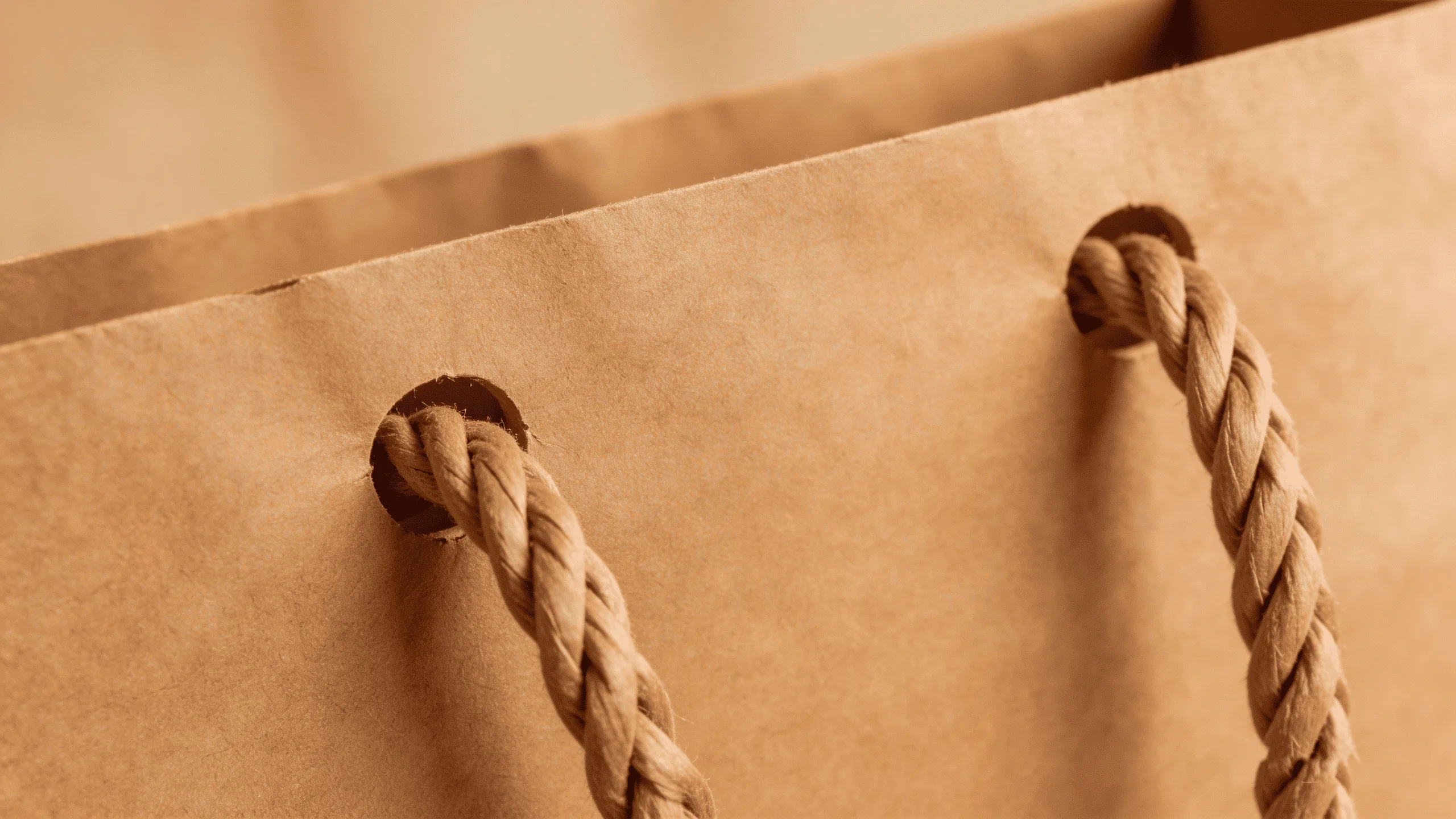 A close-up shot of a durable twisted paper handle securely attached to a thick kraft paper bag.
