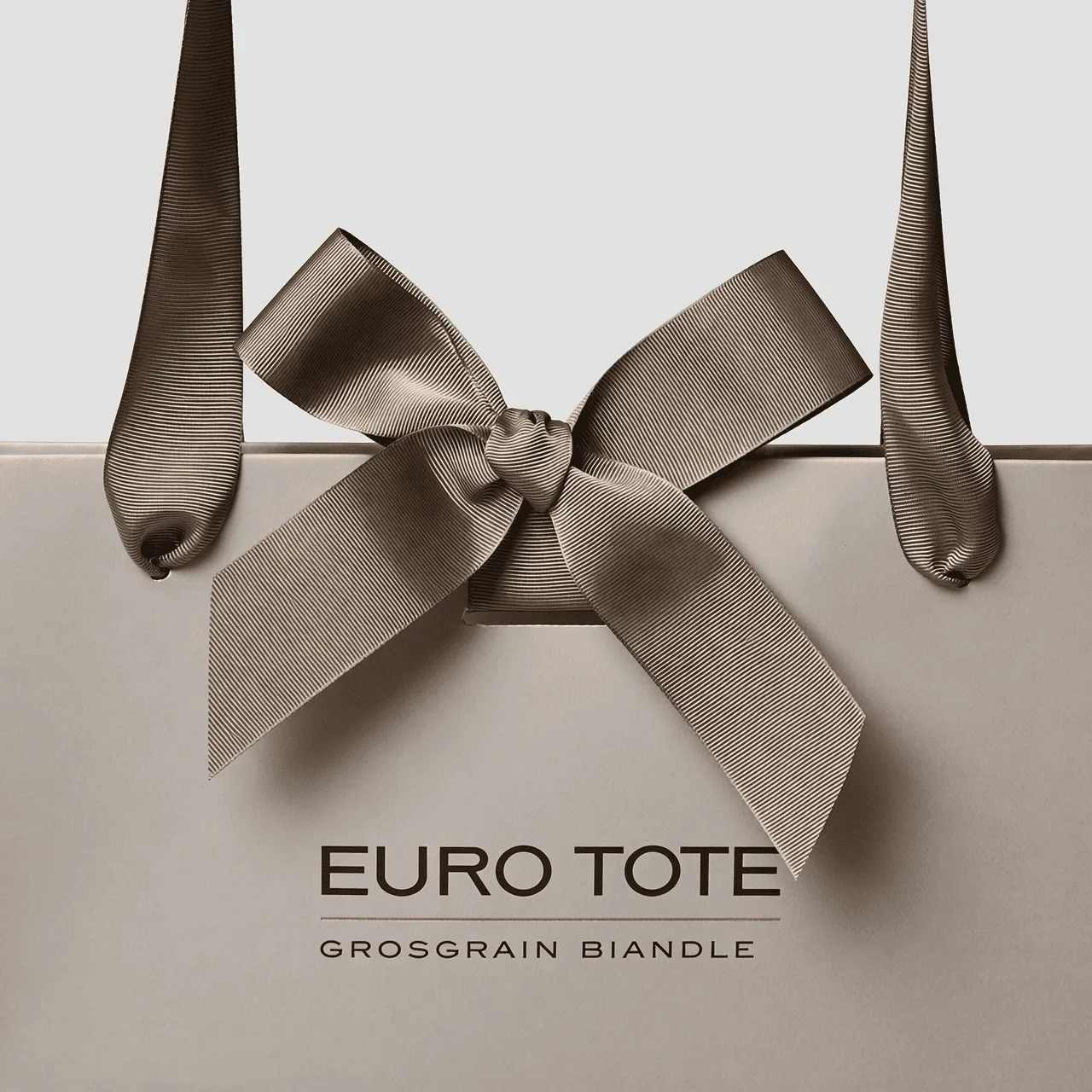 A detailed shot of the top of a Euro tote, showing a thick grosgrain ribbon handle threaded through a metal eyelet and a reinforced cardboard top.